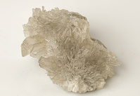 M 00008
<br/>
<br/>
<em></em>
